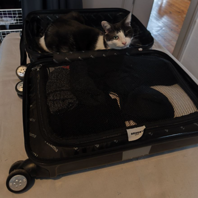 Dans sa valise